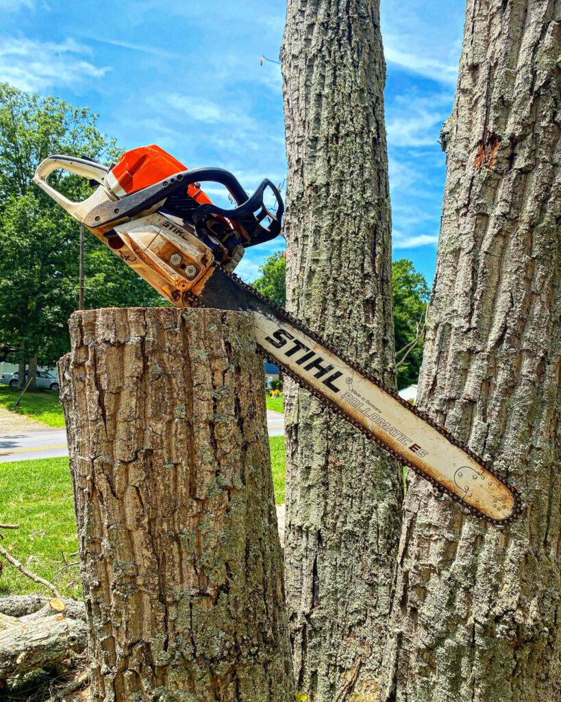 Rolling Oak Tree - Chainsaw Tree Removal